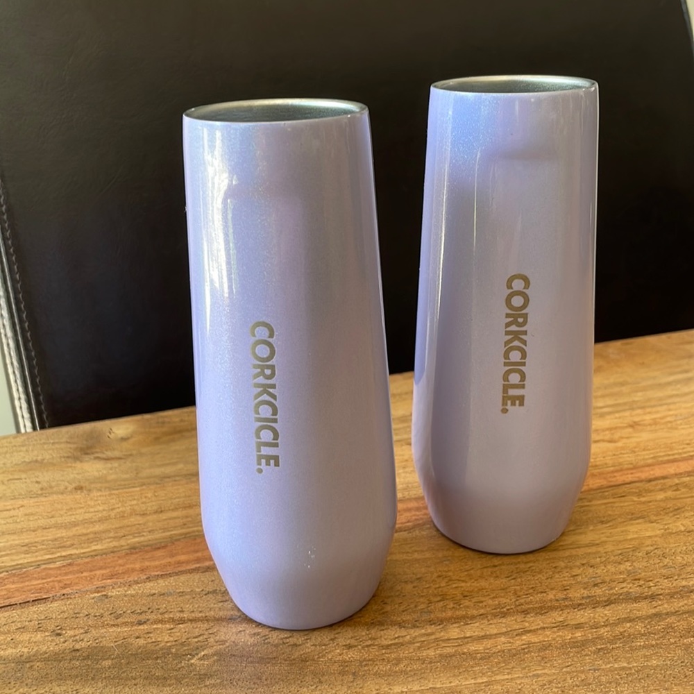 Corkcicle pair of stainless steel stemless flutes